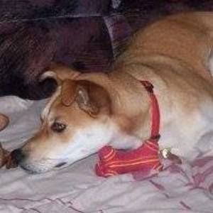 Meet your Posher, Samantha